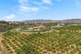 42371 Via De Los Fideos - Photo 17