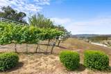 42371 Via De Los Fideos - Photo 59