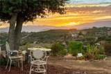 42371 Via De Los Fideos - Photo 63