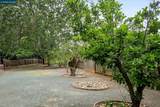 1016 Pine Hollow Ct - Photo 41