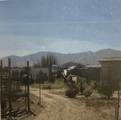 31954 Harvard Road - Photo 1