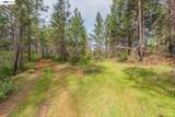 1780 Dutch Creek Rd - Photo 13