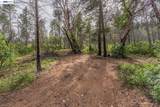1780 Dutch Creek Rd - Photo 17