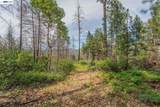1780 Dutch Creek Rd - Photo 20