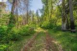 1780 Dutch Creek Rd - Photo 23