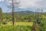 1780 Dutch Creek Rd - Photo 5