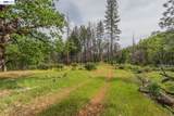 1780 Dutch Creek Rd - Photo 9