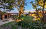 30216 Matisse - Photo 50