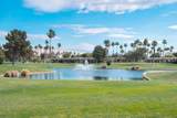 28914 Desert Princess Drive - Photo 21