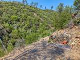 lot 1 Butts Canyon Road - Photo 38