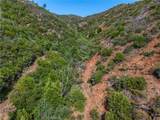 lot 1 Butts Canyon Road - Photo 41