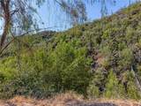 lot 1 Butts Canyon Road - Photo 47