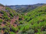 lot 1 Butts Canyon Road - Photo 48