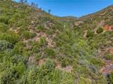 lot 1 Butts Canyon Road - Photo 49