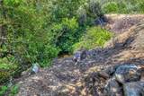 lot 1 Butts Canyon Road - Photo 7
