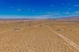 6 Sunflower - Photo 11