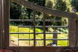 1560 Tindall Ranch Road - Photo 45