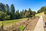 1560 Tindall Ranch Road - Photo 46