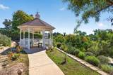 2087 Alborada Drive - Photo 65
