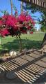 35090 Mission Hills Drive - Photo 29