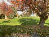 35090 Mission Hills Drive - Photo 41