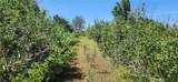0 Hummer Road - Photo 5