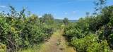 0 Hummer Road - Photo 19
