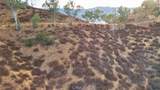 0 Sunny Slope Avenue - Photo 14