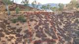 0 Sunny Slope Avenue - Photo 3