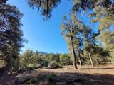 15913 Wildwood Drive - Photo 1