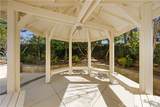 27 Plumeria - Photo 44