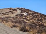 29409 Sugar Court - Photo 2