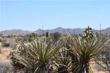 0 Palomar - Photo 11