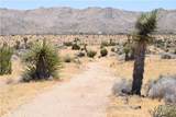 0 Palomar - Photo 12