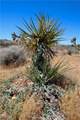 0 Palomar - Photo 26