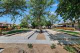 51710 Ponderosa Drive - Photo 35