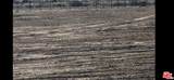 16571 Chumash Trail - Photo 1