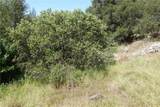 0 Running Deer Way - Photo 8