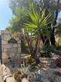6000 Cavalleri Road - Photo 14