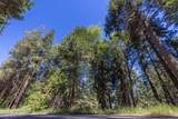 Lot 78 Cedar Pines Drive - Photo 1