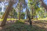 Lot 78 Cedar Pines Drive - Photo 5