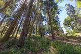 Lot 78 Cedar Pines Drive - Photo 7