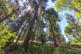 Lot 78 Cedar Pines Drive - Photo 8