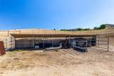 3640 Debonair Drive - Photo 50