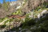 6653 Bear Canyon Drive - Photo 14