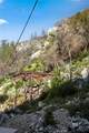 6653 Bear Canyon Drive - Photo 15