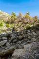 6653 Bear Canyon Drive - Photo 7