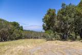 25520 Via Malpaso - Photo 15