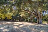 3 Via Vaquera - Photo 10