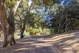 3 Via Vaquera - Photo 11